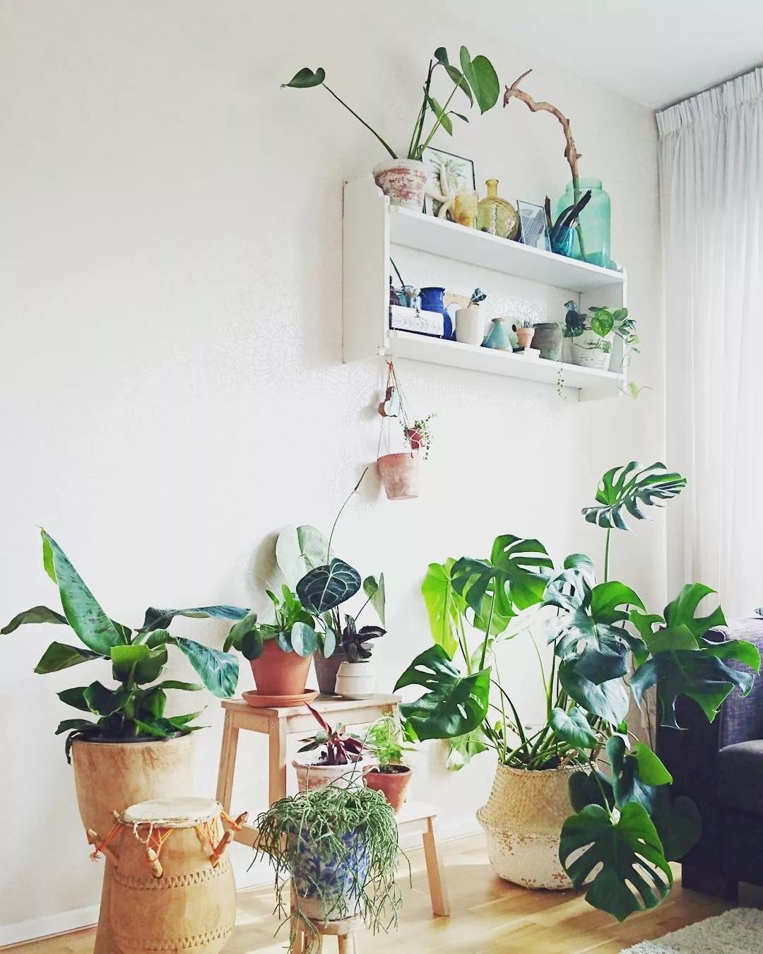 1538273361102471.jpg 微信图片_20180930100126.jpg