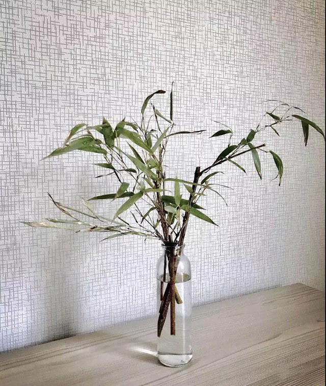 1543287587125265.jpg 2.jpg