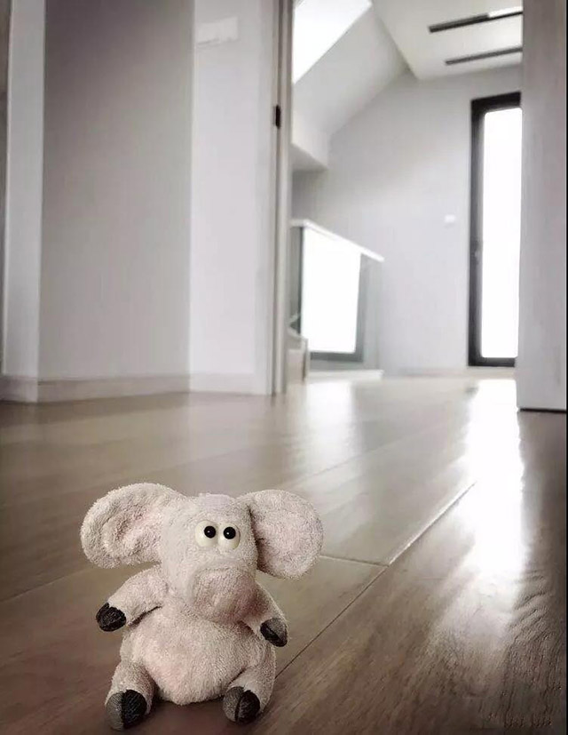 1543287796501664.jpg 22.jpg