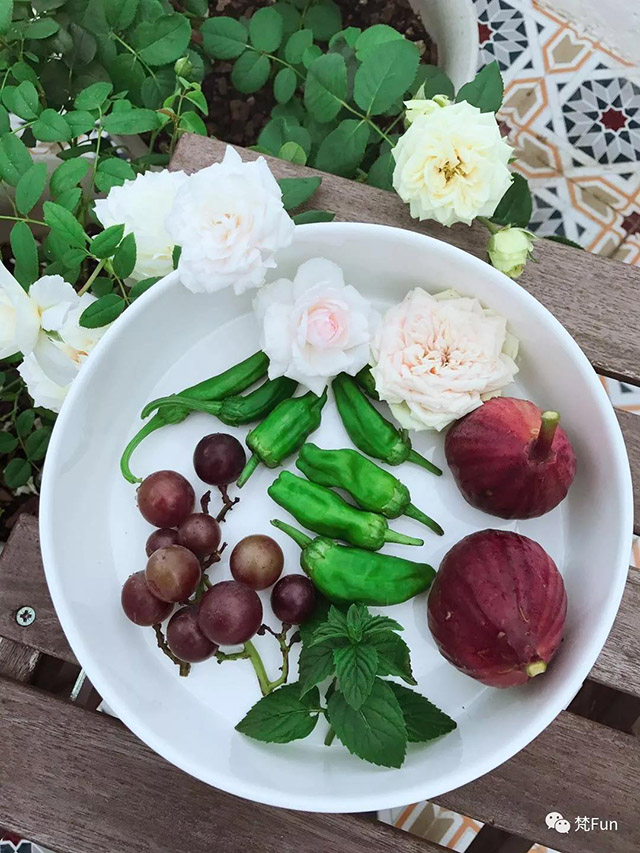 1543287847966751.jpg 28.jpg