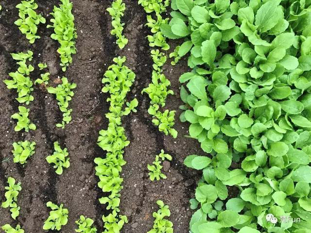 1543287870111146.jpg 30.jpg