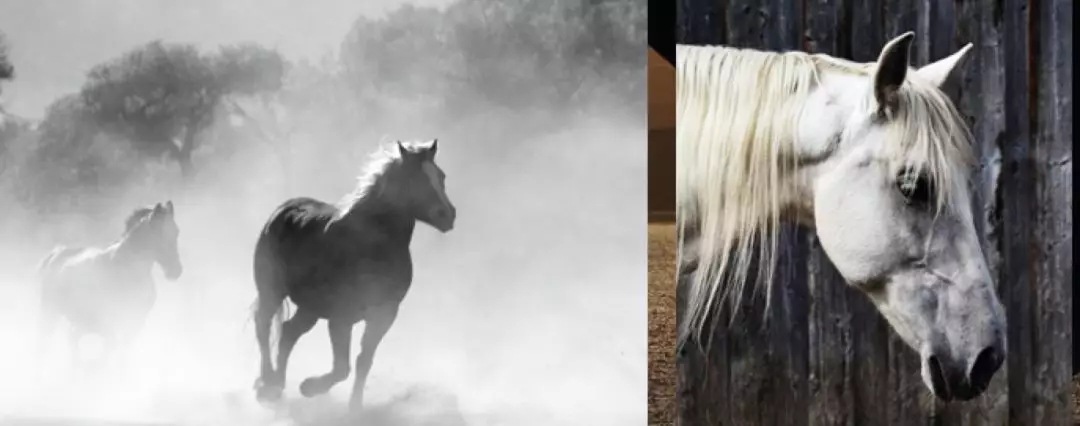 1557130510849479.jpg 640 (1).webp (25).jpg