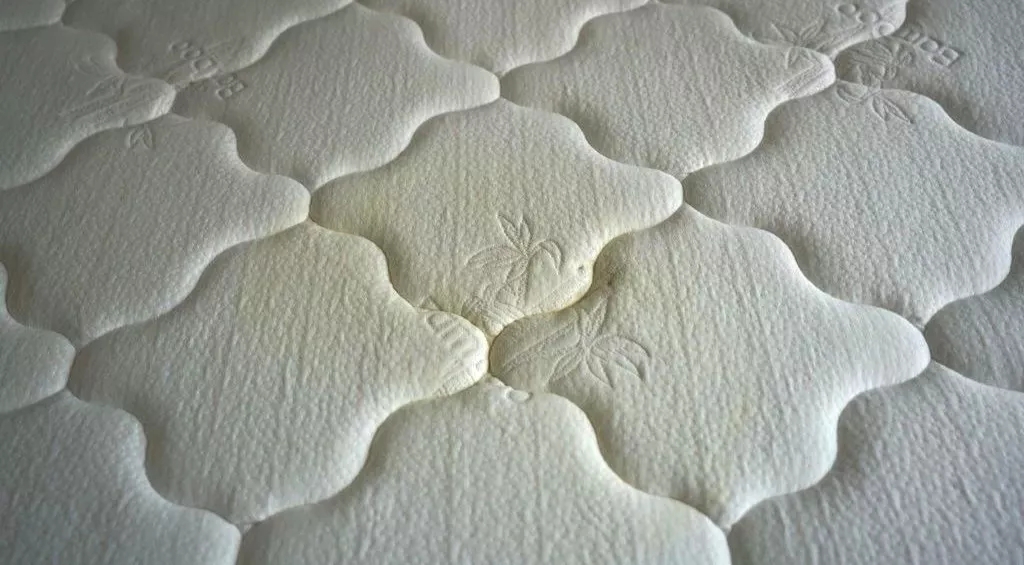 1557130631667999.jpg 640 (1).webp (30).jpg