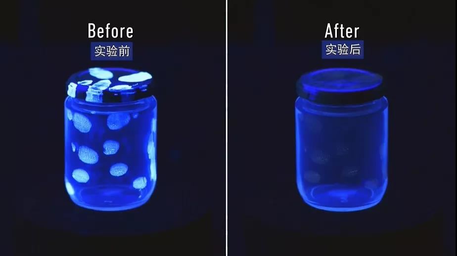 1636524196303930.png image.png