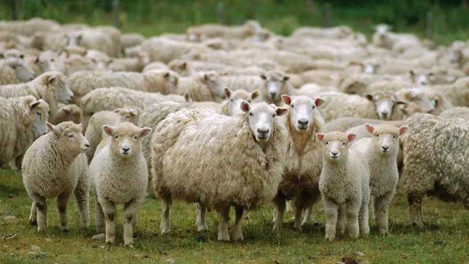 1637131099409562.png image.png